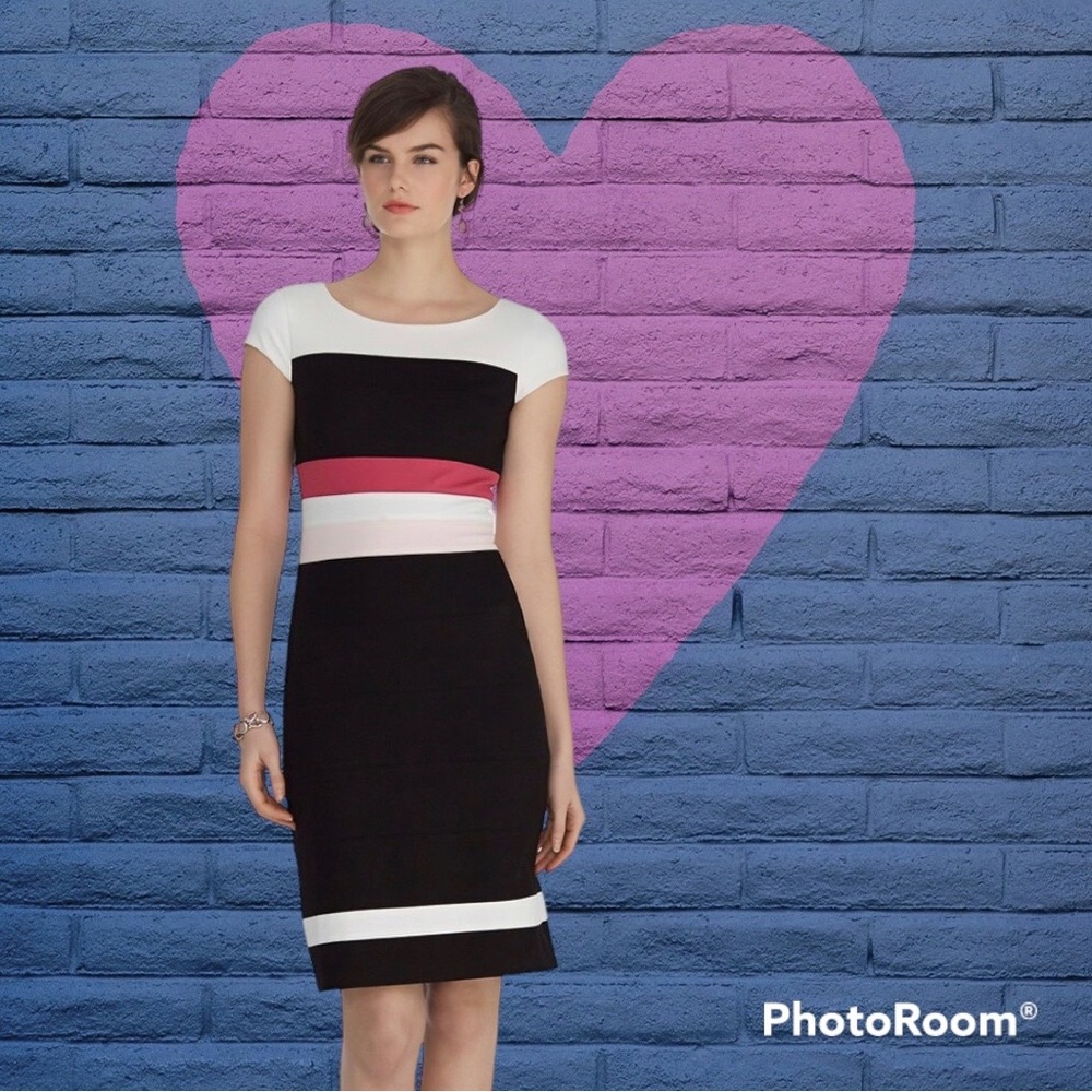 COLOR BLOCK Black Pink White Cap Sleeve Sheath Dress
